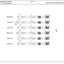 Ahlmann AL70 Wheel Loader Parts Catalog – sample page 4