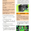 Merlo Turbofarmer Modular (TF30.9-33.7-33.9-35.7-38.7-38.10-42.7-45.11-50.8-65.9) Service Manual, Mechanic Manual, Hydraulic & Electrical Diagram German version DE [PDF]