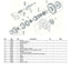 Carraro Transfer Box Parts Catalog (Ref. 149978) – sample page 1